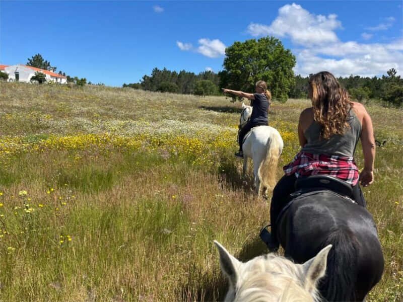 Algarve Horseriding tour in the countryside of Aljezur Rogil - The Logistics