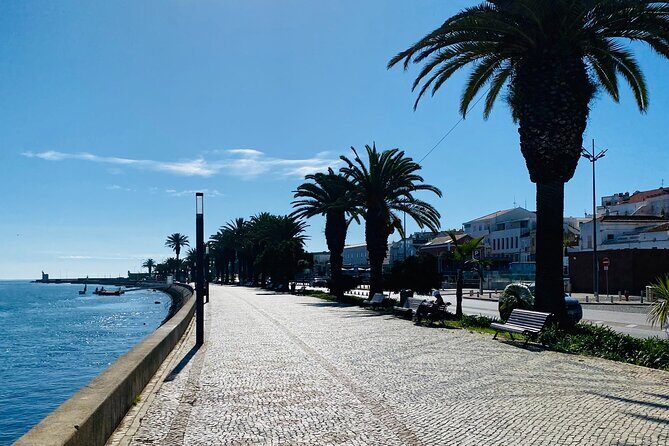 Algarve: Lagos sightseeing guided tour with E-bikes - Who Is This Tour Best Suited For?