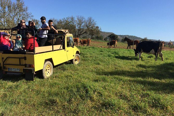 Algarve Mountains & Villages - Half Day Jeep Safari Trip - Exploring the Algarve Mountains & Villages on a Half-Day Jeep Safari