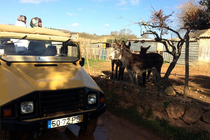 Algarve Mountains & Villages - Half Day Jeep Safari Trip - In Closing
