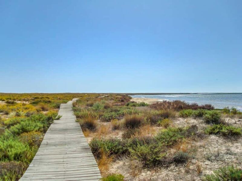 Algarve: Olhão Highlights Tour and Ria Formosa Boat Trip - Key Points