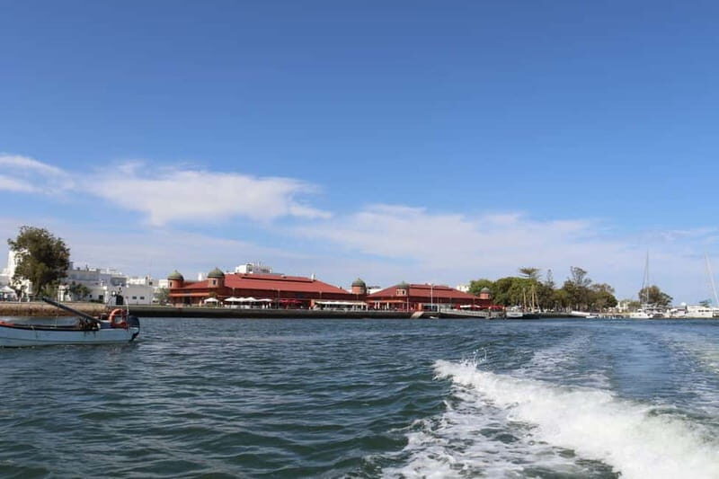 Algarve: Olive Oil, Market, and Ria Formosa Boat Tour - Key Points