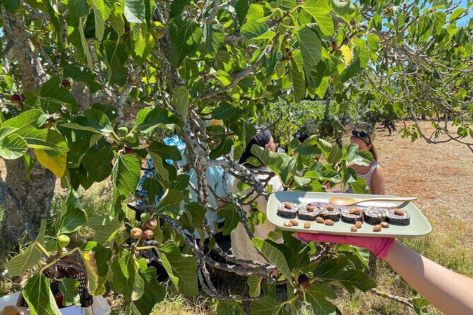Algarve Romantic Vineyard Picnic in Carvoeiro - Final Thoughts