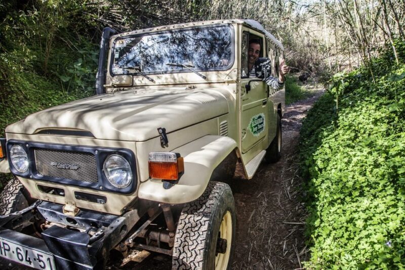 Algarve: Sunset Jeep Safari Tour - An In-Depth Look at the Algarve Sunset Jeep Safari