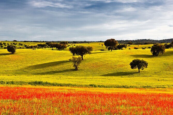 Algarve to Lisbon with stop at Évora, Bones Chapel and Cork factory - A Deep Dive into the Itinerary