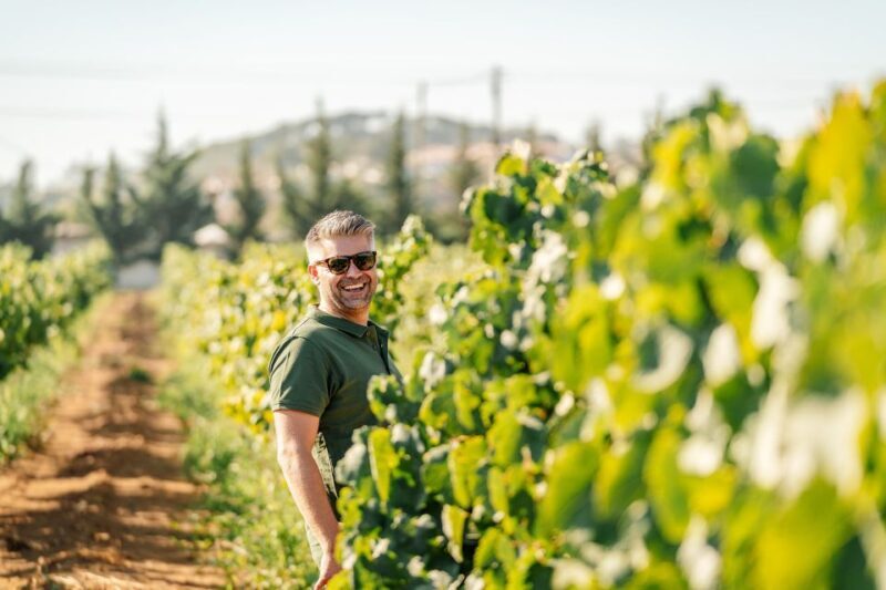 Algarve: Vineyard Tour & Premium Wine Tasting in Silves - Why This Tour Stands Out
