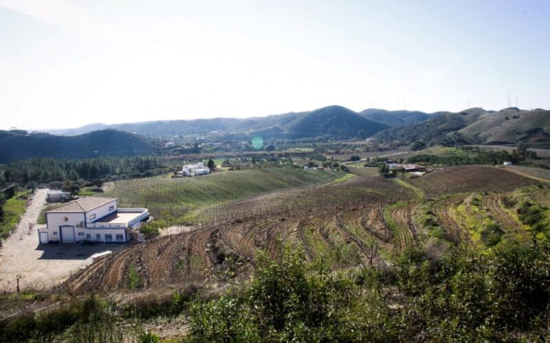 Algarve wine tour and mountain top trip with lunch or dinner - Why This Tour Is Worth It