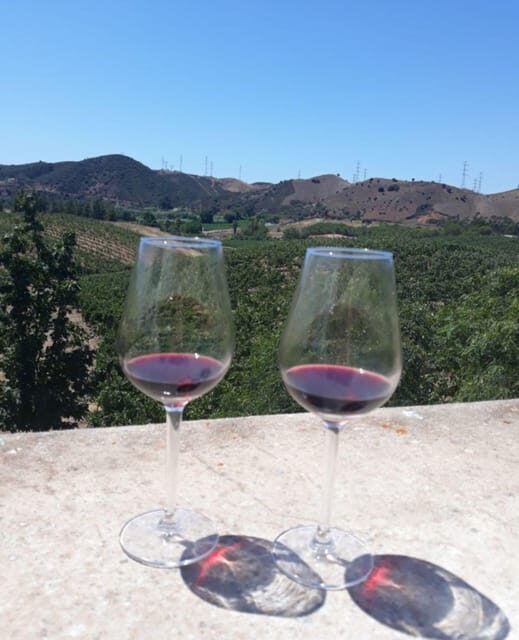Algarve Wine Tour of two estates guided by wine expert - An Authentic Algarve Wine Experience: Guided Tours of Two Estates