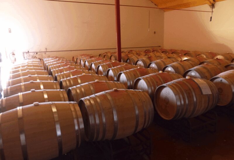 Algarve Wine Tour of two estates guided by wine expert - Transportation, Timing, and Group Size