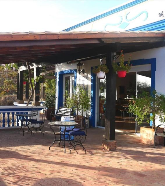 Algarve Wine Tour of two estates guided by wine expert - Who Should Consider This Tour?