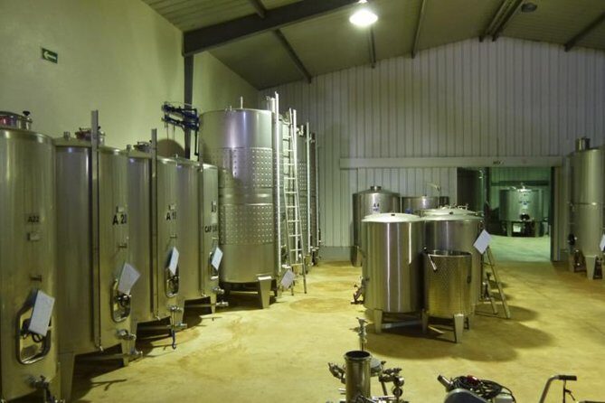 Algarve Wine Tour of Two Wine Estates - Key Points