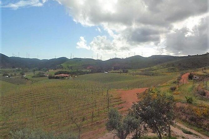 Algarve Wine Tour of Two Wine Estates - What’s the Wine Like?