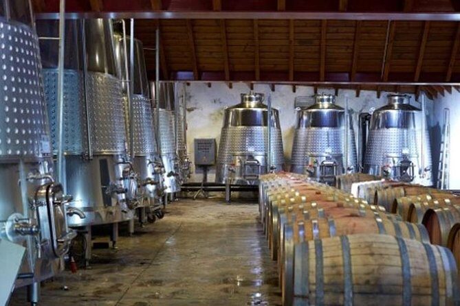 Algarve Wine Tour of Two Wine Estates - Who Will Love This Tour?