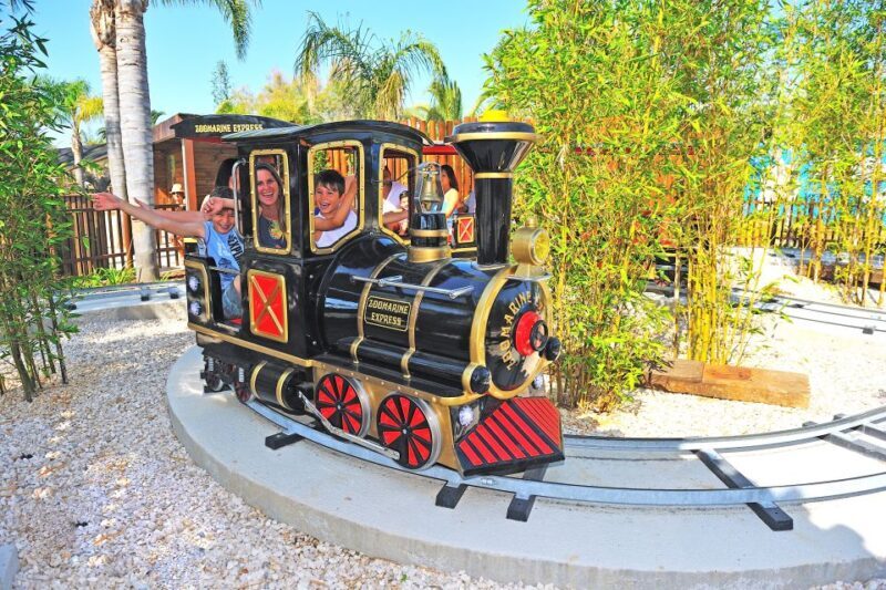 Algarve: Zoomarine Amusement Park Entry Ticket - A Practical Overview of Zoomarine Algarve