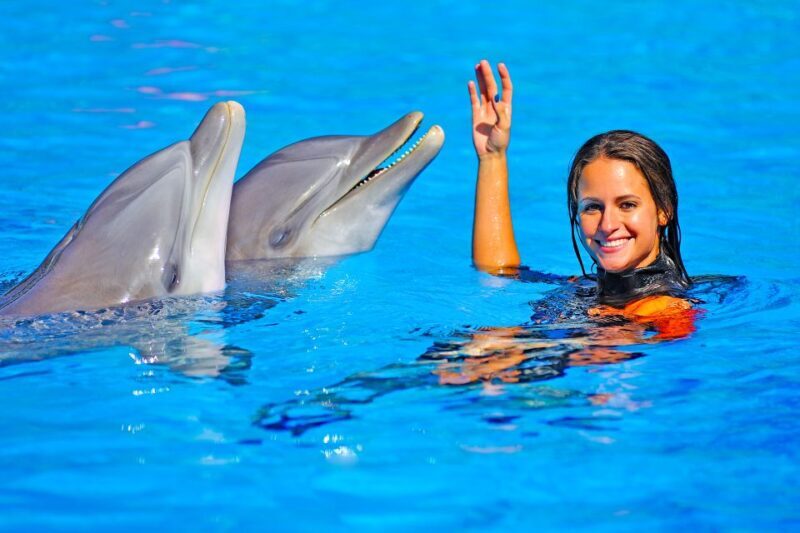 Algarve: Zoomarine Amusement Park Entry Ticket - Practical Tips for Your Visit