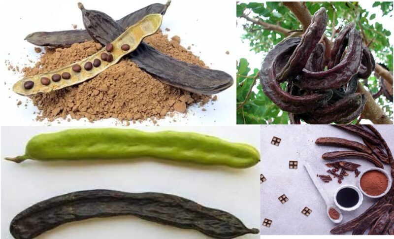 ALGARVE'S CAROB TRAIL - Algarve’s Carob Trail: An Authentic Taste of Regional Heritage