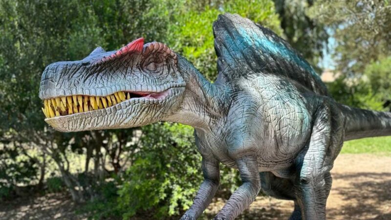 Alghero: Discover dinosaurs in Porto Conte Park - The Educational and Entertainment Balance