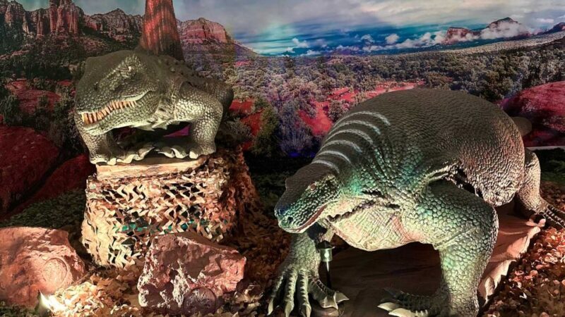 Alghero: Discover dinosaurs in Porto Conte Park - Practical Details and Tips