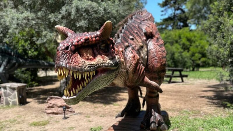Alghero: Discover dinosaurs in Porto Conte Park - Authentic Reviews and Visitor Insights