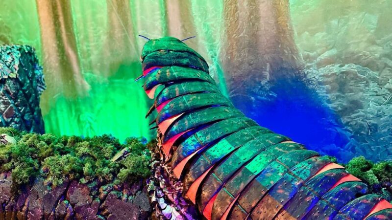 Alghero: Discover dinosaurs in Porto Conte Park - The Sum Up: Who Will Love This Experience?