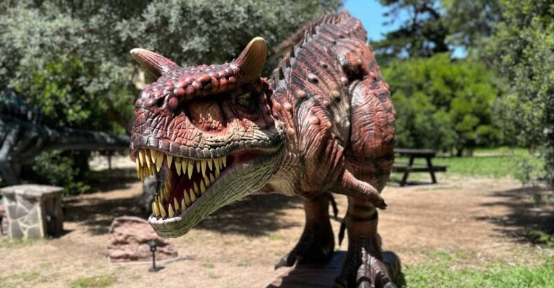Alghero: Discover dinosaurs in Porto Conte Park - FAQ