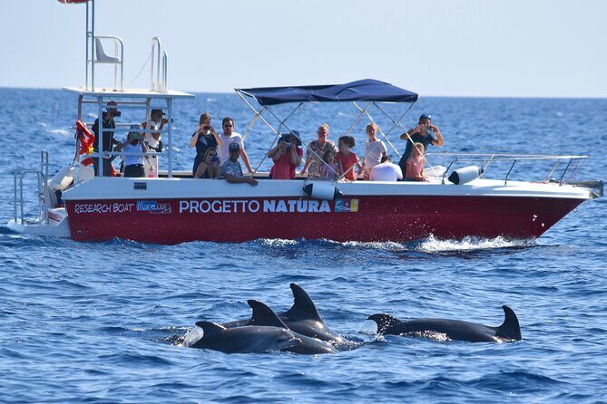 Alghero - Dolphin Watching and Guided Snorkeling (summer tour) - FAQs