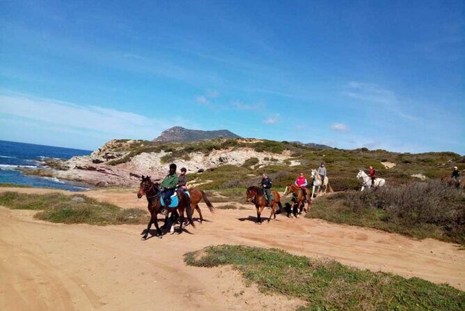 Alghero: horseback ride in Porto Ferro and Lake Baratz - Who Should Consider This Tour?