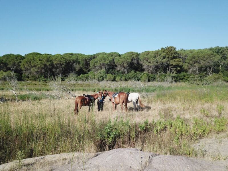 Alghero: Lake Baratz Guided Horseback Ride - Exploring Sardinia’s Natural Charm on Horseback