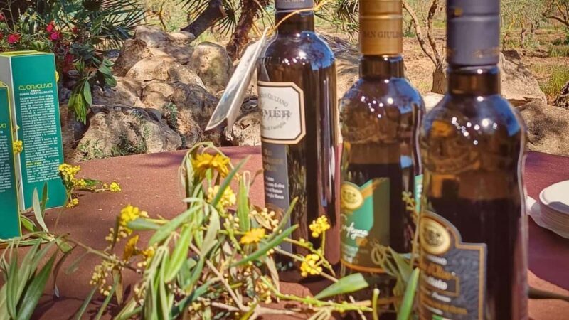 Alghero: Olive Grove Visit with Olive Oil Tasting - Authenticity and Quality of the Experience