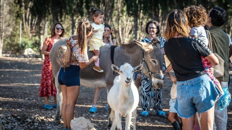 Alghero: visit an animal shelter in Olmedo - Exploring the Olmedo Animal Shelter Experience