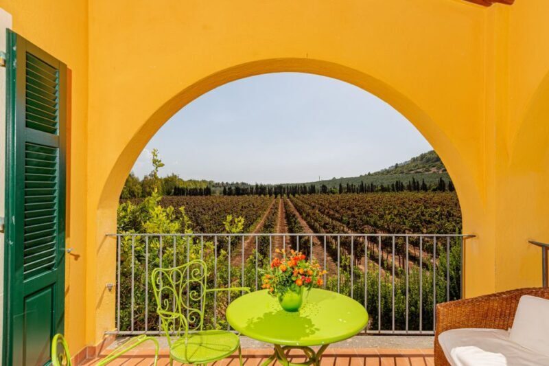Alghero: Wine and Olive Oil Tasting at a Local Farm - Introduction: A Tasting Tour with a Sardinian Touch