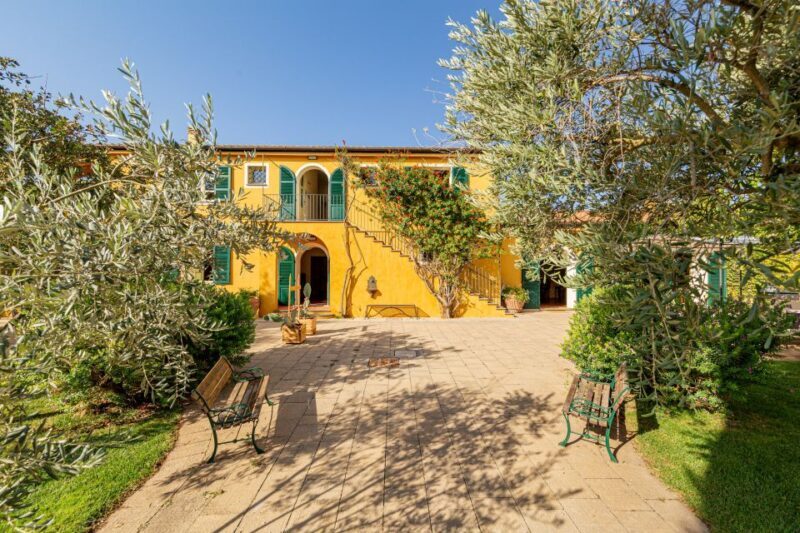 Alghero: Wine and Olive Oil Tasting at a Local Farm - Practical Details and Tips