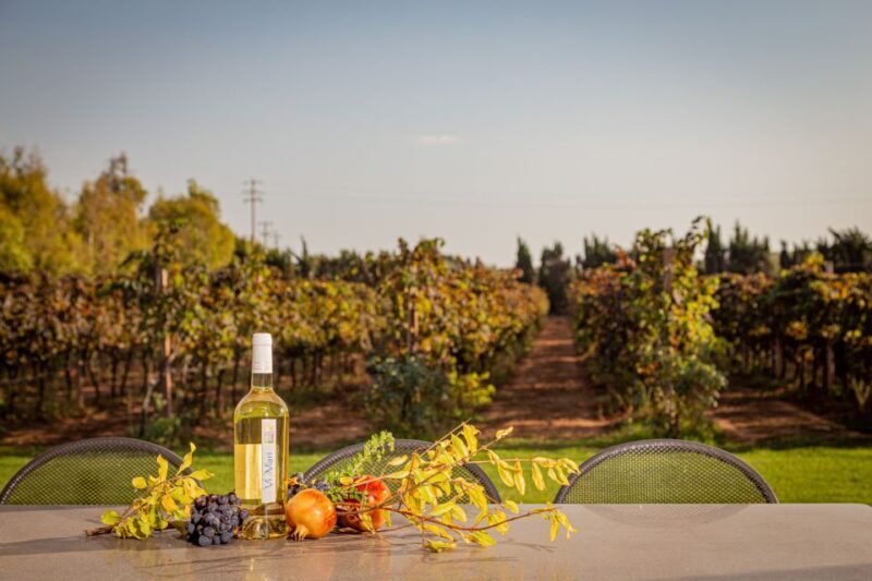 Alghero: Wine and Olive Oil Tasting at a Local Farm - Final Thoughts