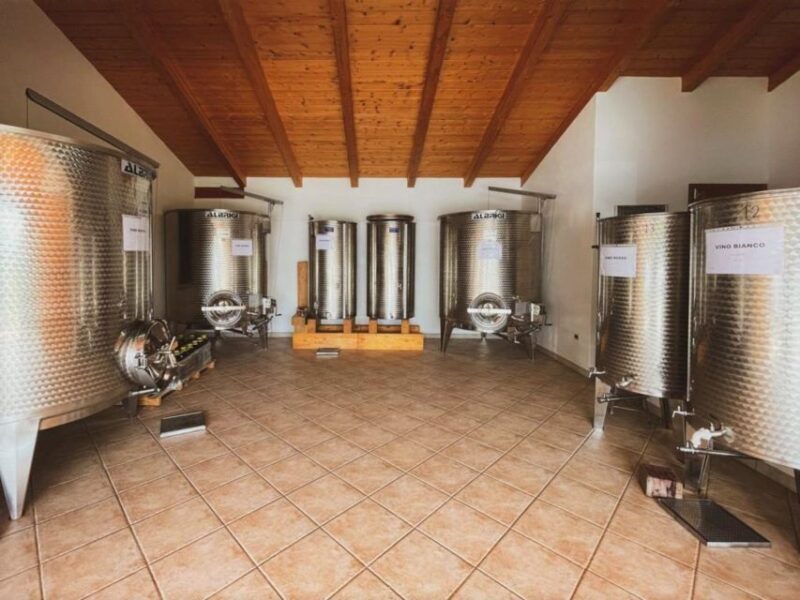 Alghero: wine tasting w/ local aperitif in the vineyard - An In-Depth Look at the Experience