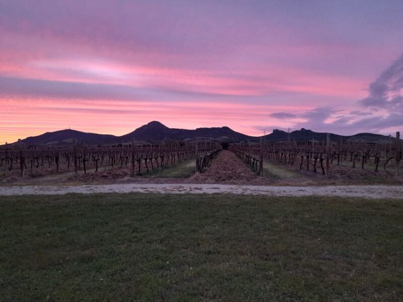 Alghero: wine tasting w/ local aperitif in the vineyard - FAQ