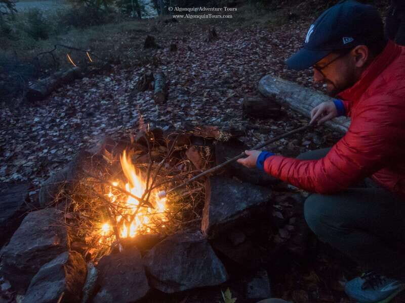 Algonquin Park: Canoe Camping Safari - Key Points