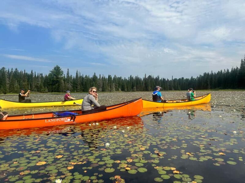 Algonquin Park Day Tour: Canoeing Adventure - Key Points