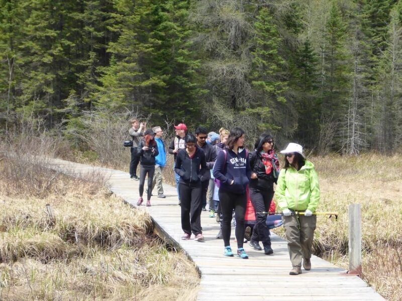 Algonquin Park Hiking: Adventure Tour from Toronto - Final Word