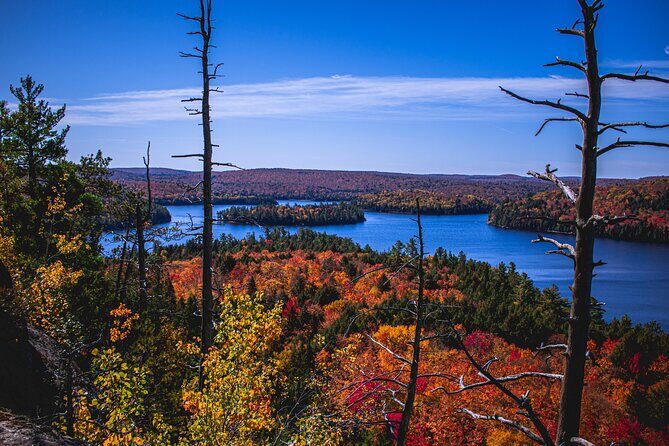 Algonquin Provincial Park Full Day Trip - Exploring the Details: What to Expect from This Day Trip