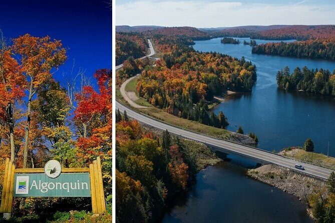 Algonquin Shuttle from Toronto - Why Choose the Algonquin Shuttle from Toronto?