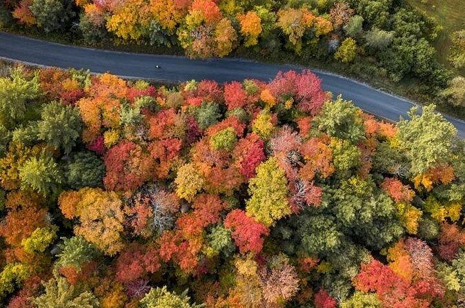 Algonquin Shuttle from Toronto - Who is This Tour Best For?