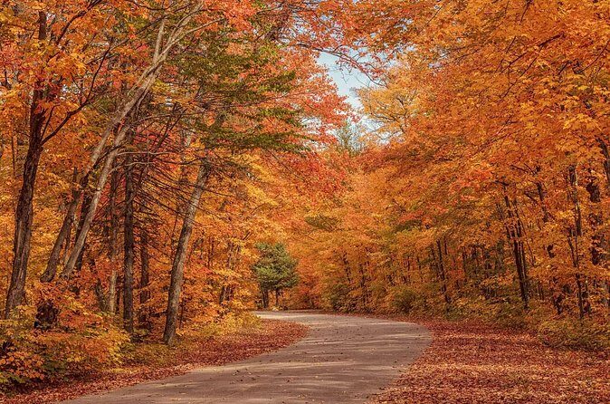 Algonquin Shuttle from Toronto - The Sum Up