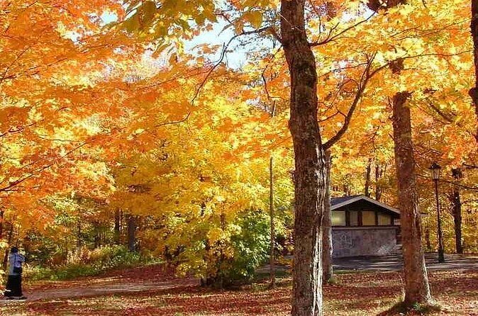 Algonquin Shuttle from Toronto - FAQ