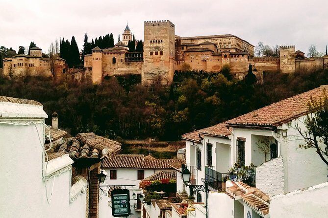 Alhambra and Granada City Center sightseeing tour! - Strolling Through Granada’s Historic Center