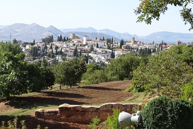 Alhambra and Nasrid Private Walking Tour with Food Tasting - Authenticity and Value