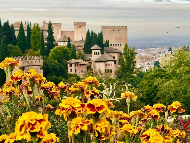 Alhambra: Guided Private Tour with Fast-Track Entry - Who Will Love This Tour?