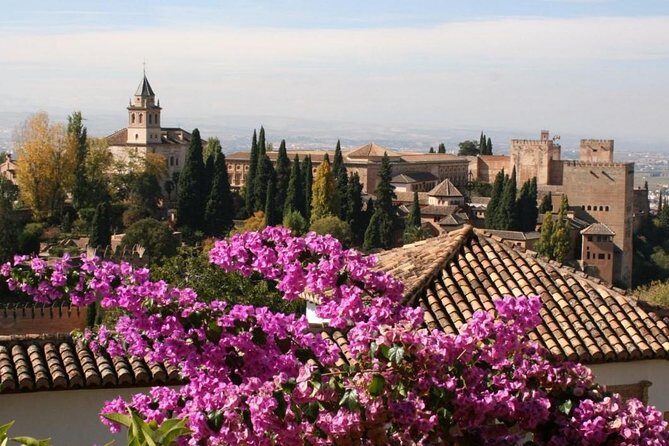 Alhambra Guided Tour & Albaicin Tour from Seville - Final Thoughts