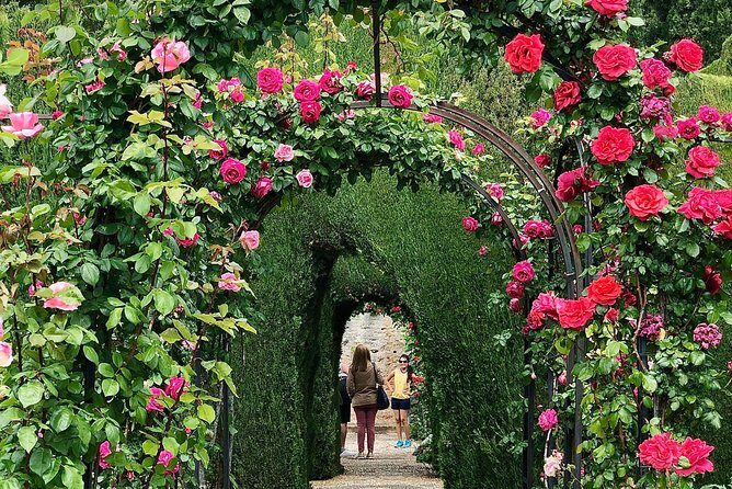 Alhambra Private Tour from Marbella: with Transport and skip-the-line tickets - Who Should Consider This Tour?