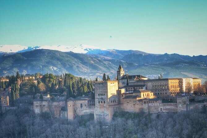 Alhambra Private Tour & Nazaries Palaces from Seville with Pickup - Who Should Consider This Tour?
