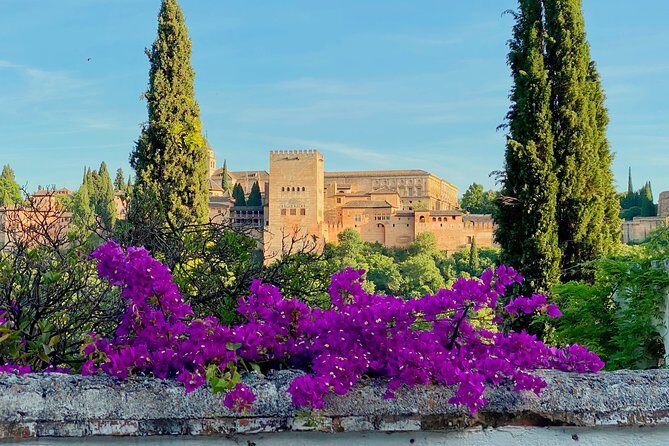 Alhambra Private Tour with Skip-the-line-tickets - Who Should Consider This Tour?